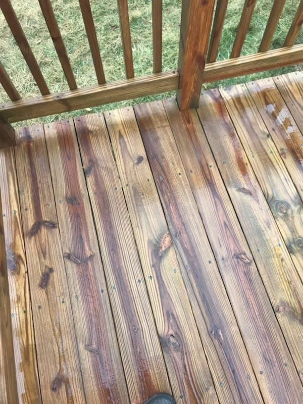 Maryland Pro Wash deck cleaning service. Clean deck after deck service. 