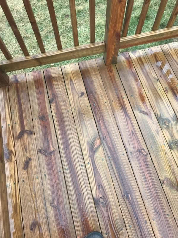 In the image, a wooden deck stretches across the frame, with sections clearly delineated between wet and dry areas. The freshly cleaned planks gleam in a lighter hue, reflecting the freshness of newly revealed wood grain after thorough pressure washing. In contrast, the darker untreated sections stand out as a testament to time and weather's impact on outdoor surfaces.

A small part of a shoe at the bottom hints at someone stepping back to admire their work or inspect the remaining task. This visual showcases Maryland Pro Wash's expertise as they transform aged decks into refreshed outdoor spaces using top-tier pressure washing services. 

Serving Harford County MD, Baltimore County MD, Cecil County MD, Howard County MD, Carroll County MD, Anne Arundel County MD as well as Wilmington DE and New Castle County DE in Delaware and Delaware County PA in Pennsylvania—Maryland Pro Wash is committed to revitalizing homes through professional cleaning efforts ensuring cleaner exteriors for every client they serve.