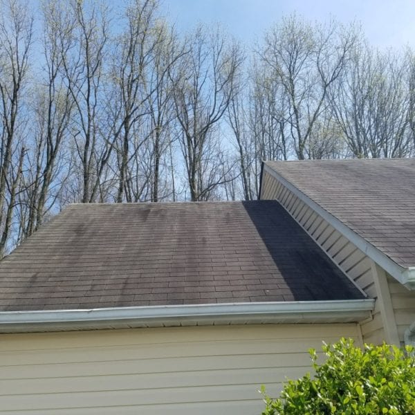 Certainly! Here's a revised description matching Maryland Pro Wash's services:

---

The house roof is adorned with shingles, showing noticeable dark discoloration on one side, suggesting the presence of mildew or accumulated dirt. A satellite dish perches on the roof's edge, amid an idyllic setting. In the backdrop, tall leafless trees stretch upwards against a vibrant clear blue sky. Below, lush bushes cluster around the home's foundation.

For residents in need of professional cleaning solutions in Harford County MD, Baltimore County MD, Cecil County MD, Howard County MD, Carroll County MD, Anne Arundel County MD as well as Wilmington DE, New Castle County DE and Delaware County PA — Maryland Pro Wash offers expert pressure washing services to restore and enhance your property’s exterior appeal effectively. Their team specializes in removing unsightly stains and grime to bring back the lustrous charm of your home.