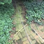 A garden path made of moss-covered bricks runs through dense greenery. A hose is stretched along the pathway, contrasting with the lush plants on either side. Imagine how vibrant and refreshed your outdoor spaces could look with Maryland Pro Wash's expert pressure washing services. Serving Harford County, Baltimore County, Cecil County, Howard County, Carroll County, and Anne Arundel County in MD; as well as Wilmington and New Castle County in DE; and Delaware County in PA—our team specializes in enhancing home exteriors by removing grime and moss that dull natural beauty. Transform your garden paths into pristine walkways that truly stand out among your lush surroundings.