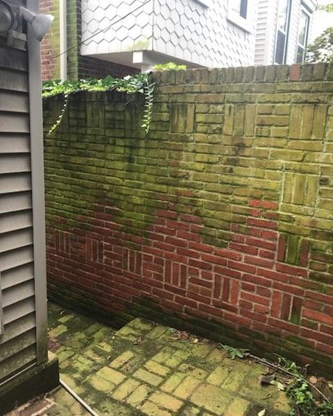 before brick cleaning