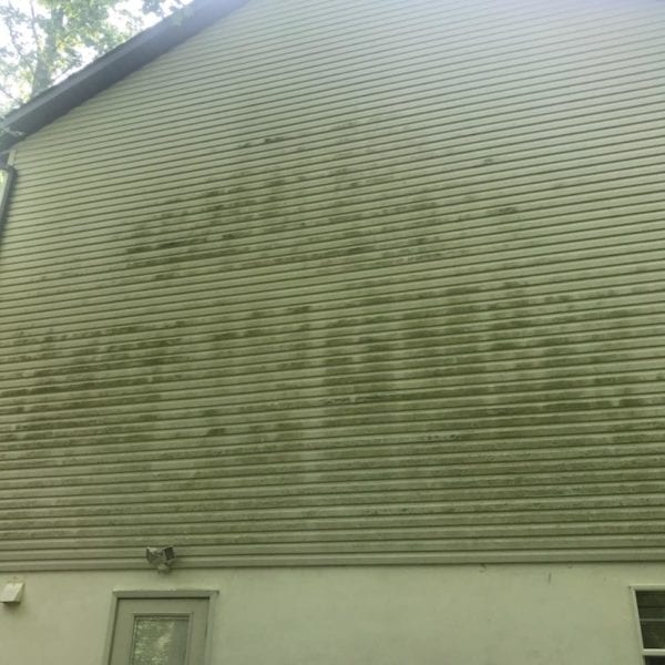 Maryland Pro Wash can revitalize the appearance of your home’s exterior with their expert pressure washing services, effectively removing green algae or moss, like those on your vinyl siding. Whether you are in Harford County, Baltimore County, Cecil County, Howard County, Carroll County, Anne Arundel County in Maryland; Wilmington and New Castle County in Delaware; or Delaware County in Pennsylvania—Maryland Pro Wash has you covered. Boost your home’s curb appeal by letting their professional team tackle those unsightly streaks on your house for a fresher and cleaner look.