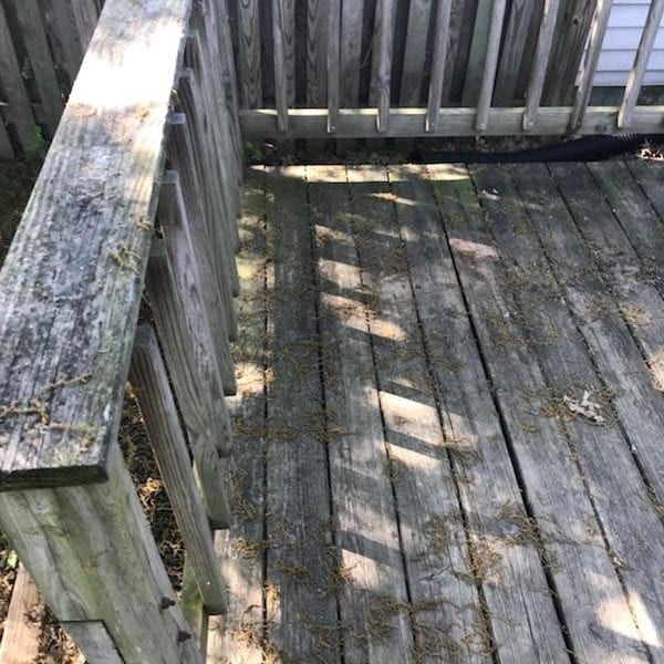 Transform your weathered wooden deck into a pristine outdoor space with Maryland Pro Wash, the leading pressure washing service in Harford County MD, Baltimore County MD, Cecil County MD, Howard County MD, Carroll County MD, Anne Arundel County MD, Wilmington DE, New Castle County DE, and Delaware County PA. As sunlight casts beautiful shadows across the aged boards of your rustic deck amidst piles of dry leaves and debris, you may be inspired to restore its original beauty. Our professional team specializes in revitalizing decks by removing dirt and grime without causing damage. With Maryland Pro Wash’s expertise and high-quality pressure washing services, your deck can regain its eye-catching appeal while maintaining its sturdiness for years to come. Contact us today to bring new life to your outdoor retreat!