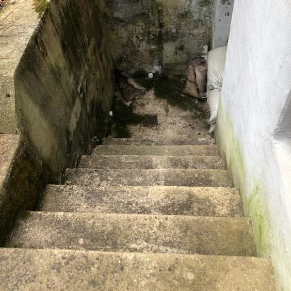 Transform the moss-covered concrete stairway with Maryland Pro Wash, the premier pressure washing service serving Harford County MD, Baltimore County MD, Cecil County MD, Howard County MD, Carroll County MD, Anne Arundel County MD, Wilmington DE, New Castle County DE, and Delaware County PA. Our expert team will remove stains and debris from your steps and walls with professional precision. Say goodbye to age-old grime and unsightly moss as we restore your stairway to its original glory. Even that mysterious white pillow-like object at the bottom will be a thing of the past. Experience a clean like never before with Maryland Pro Wash!