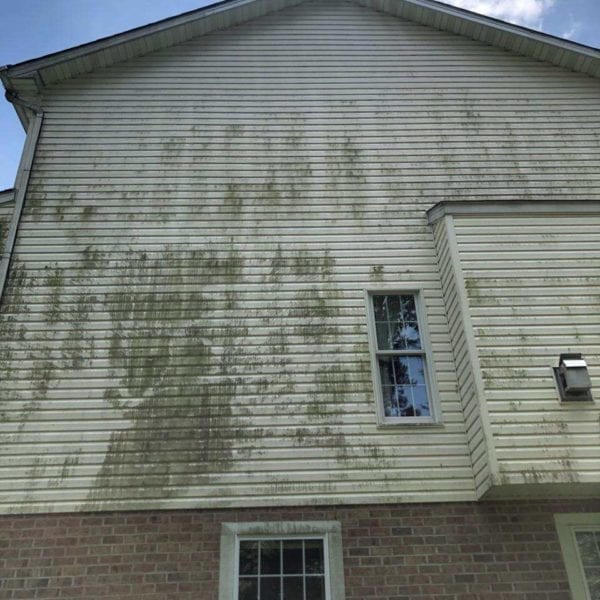 The image captures a section of a house exhibiting vertical green streaks, likely algae or mold, on its light-colored siding. Positioned on this streaked wall is a rectangular window, with another window situated below in a brick wall. The scene also features a patch of blue sky dotted with clouds in the background.

For residents and property owners looking to restore their home's exterior to pristine condition, Maryland Pro Wash offers professional pressure washing services. Specializing in removing unsightly algae and mold from siding and other surfaces, they operate across several counties: Harford County MD, Baltimore County MD, Cecil County MD, Howard County MD, Carroll County MD, Anne Arundel County MD; they also extend their expert services to Wilmington DE, New Castle County DE, and Delaware County PA. With Maryland Pro Wash's expertise in pressure washing services in these regions - your home can regain its aesthetic beauty efficiently and effectively.
