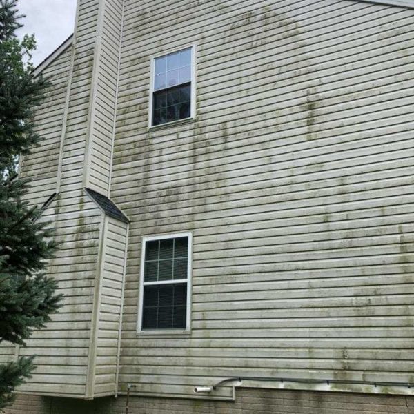 The image displays a two-story house featuring vinyl siding, which has developed green algae or mildew stains over time. A chimney is seen attached to the side of the house, indicating an area that might benefit from a thorough cleaning. In the foreground, a pine tree adds to the natural surroundings but could also contribute to moisture and shade, encouraging further algae growth.

For residents experiencing similar issues in Harford County MD, Baltimore County MD, Cecil County MD, Howard County MD, Carroll County MD, Anne Arundel County MD as well as Wilmington DE, New Castle County DE, and Delaware County PA areas: Maryland Pro Wash specializes in professional pressure washing services. Whether it's removing stubborn stains from siding or enhancing your home's exterior appearance with expert care throughout these regions—we have you covered!
