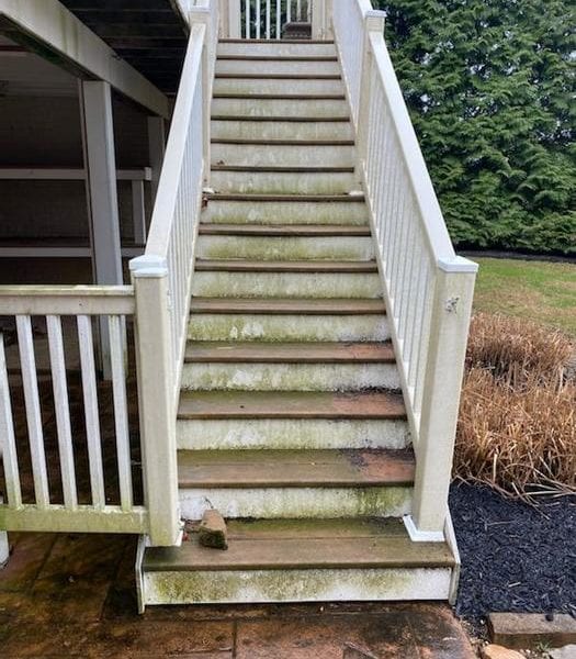 Transform your outdoor staircase with Maryland Pro Wash! If your steps are covered in green moss and dirt, and they're leading to a porch surrounded by shrubbery and grass, it's time for a refresh. Our expert pressure washing services will restore the pristine condition of your white railings and stairs, making them look as good as new.

We proudly serve residents across Harford County MD, Baltimore County MD, Cecil County MD, Howard County MD, Carroll County MD, Anne Arundel County MD; extending our exceptional cleaning services to Wilmington DE, New Castle County DE; and Delaware County PA. With our professional equipment and experienced team at Maryland Pro Wash, we ensure thorough cleaning that enhances the beauty of your home’s exterior while also preventing damage from buildup. Contact us today for a revitalized home entryway!